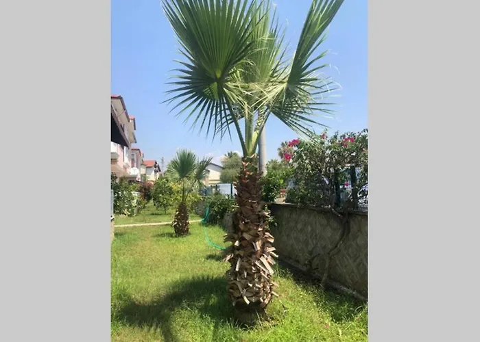 Peaceful House Hébergement de vacances *