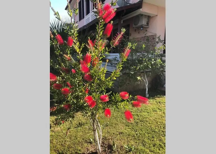 Peaceful House * Fethiye